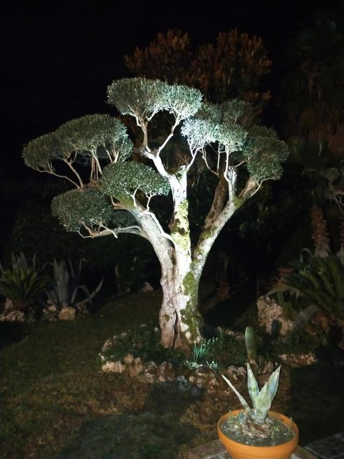 B&B Il Giardino Di Eolo Pietramelara Luaran gambar